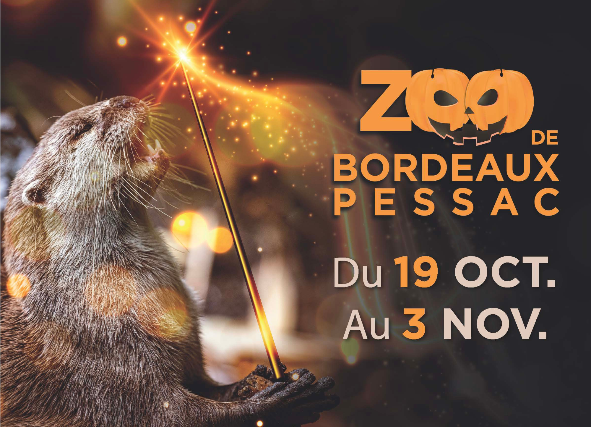 Halloween au Zoo de Bordeaux Pessac