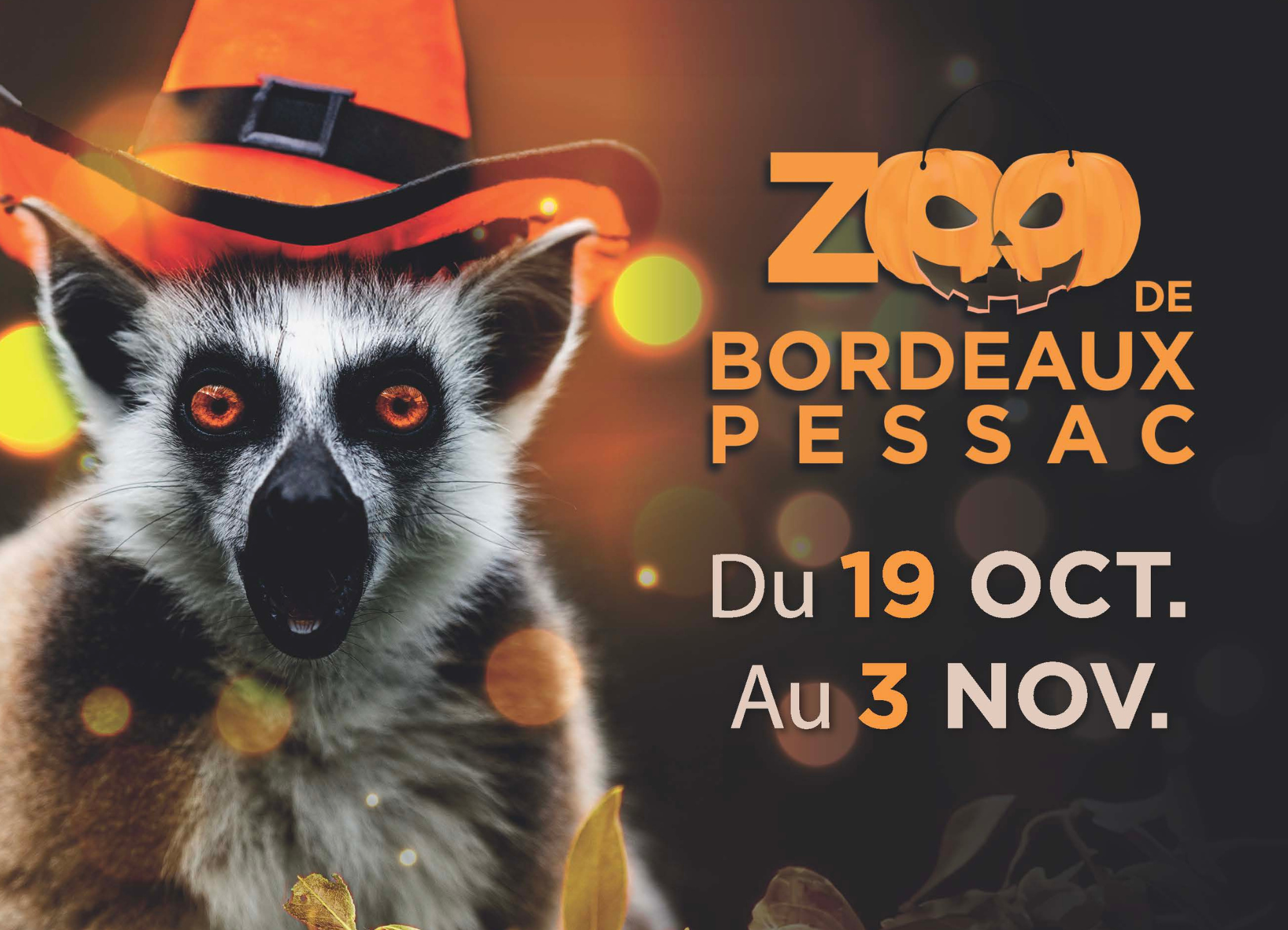 halloween au zoo de bordeaux pessac