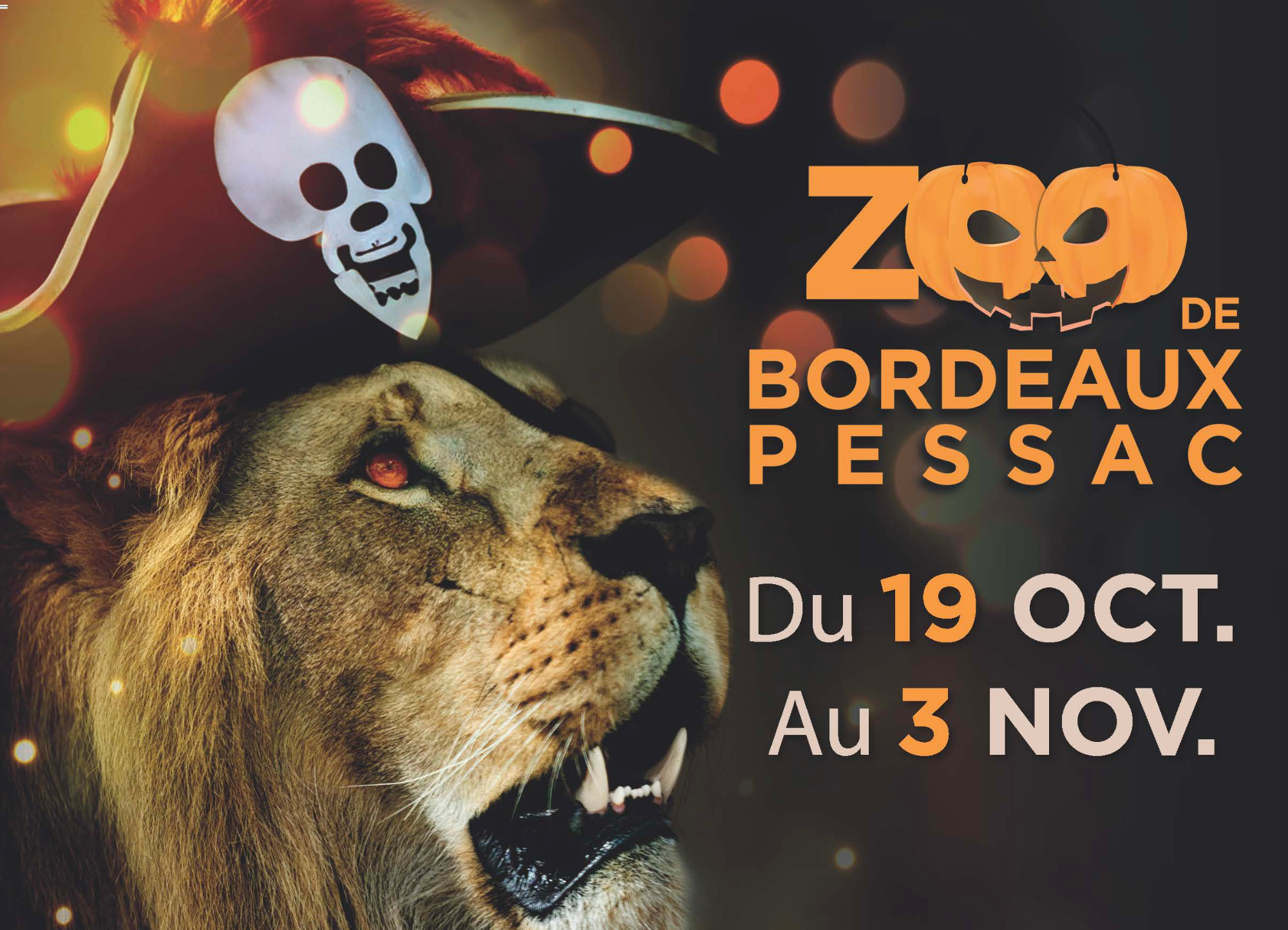 halloween au zoo 